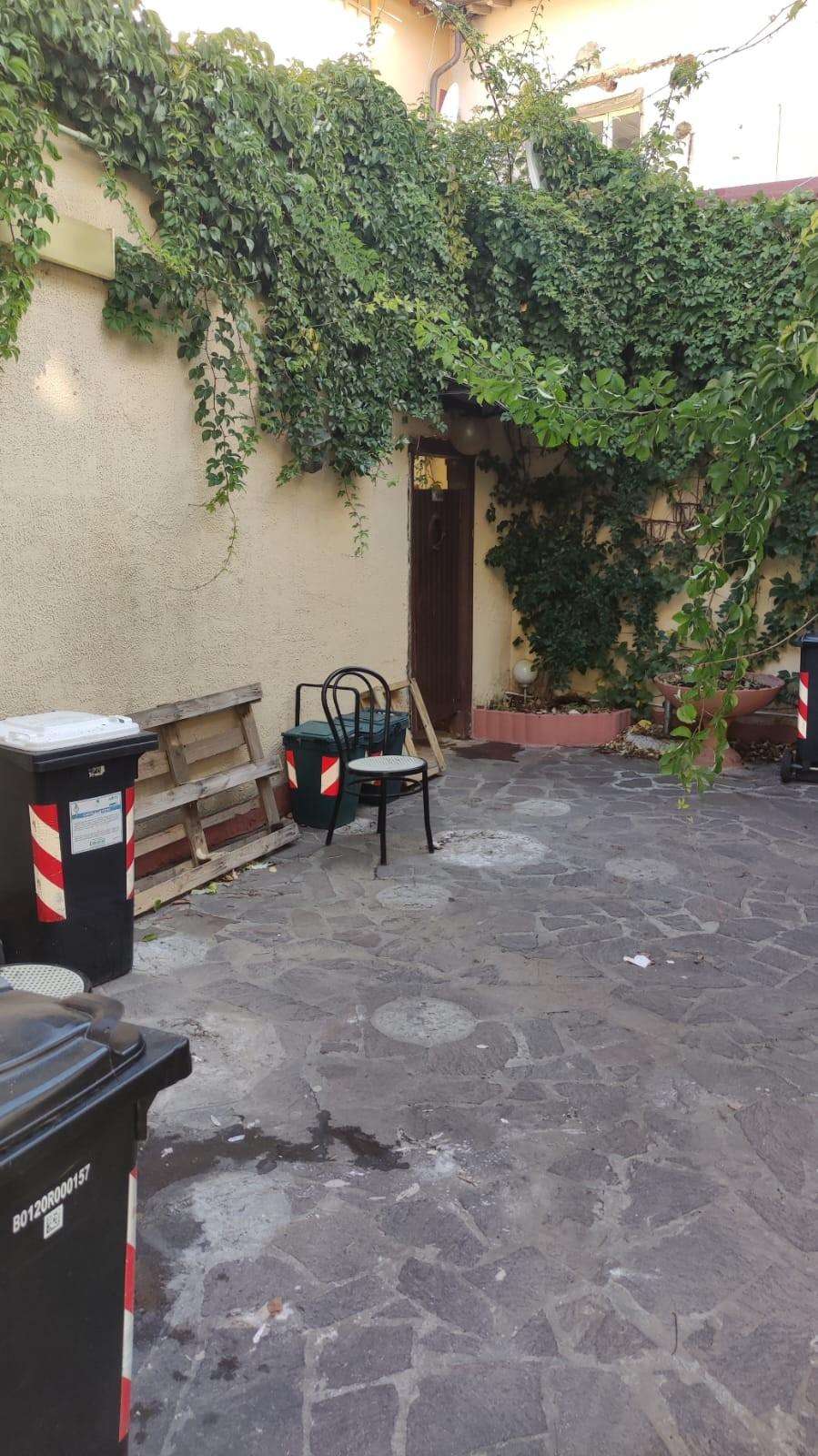 - foto 4