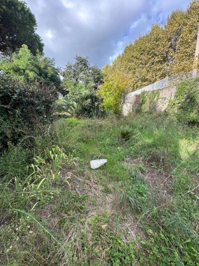  - foto 36