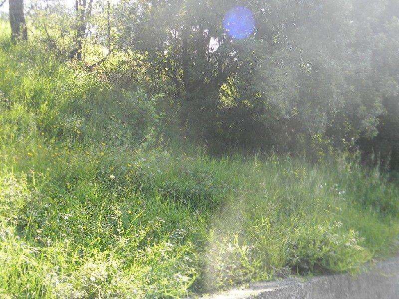  - foto 23