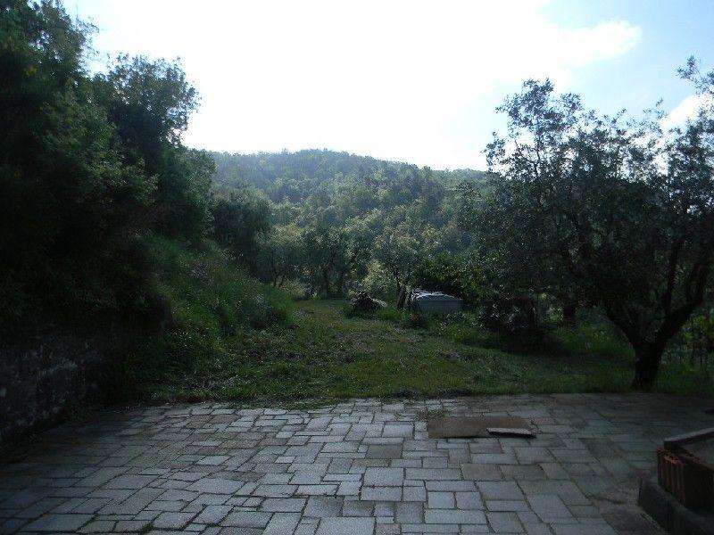  - foto 29