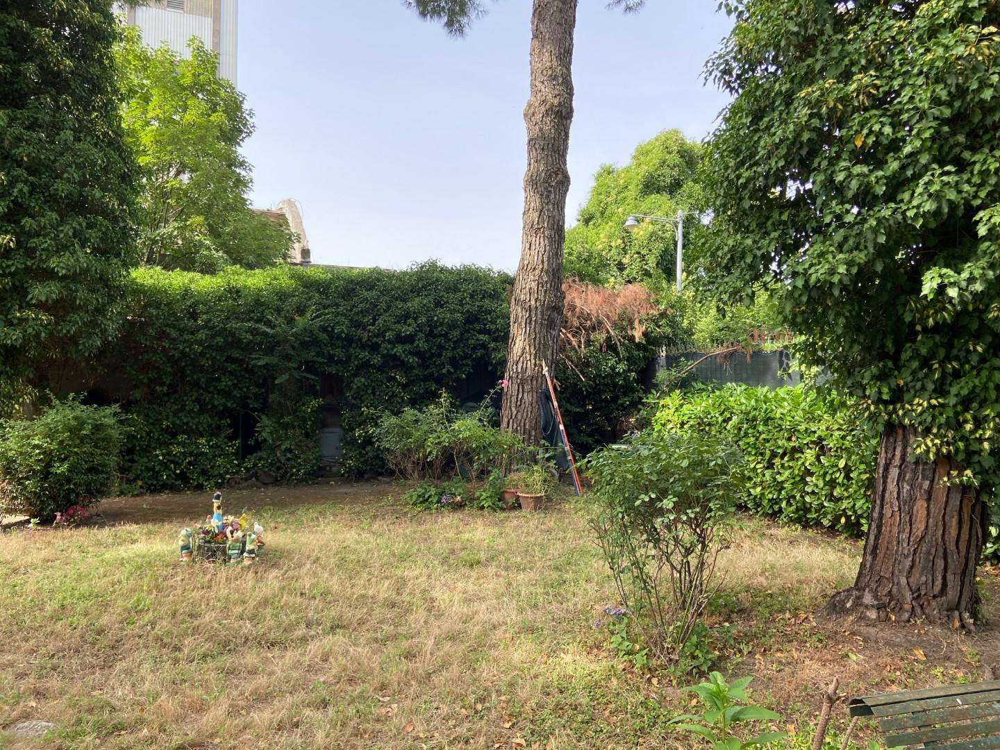  - foto 14