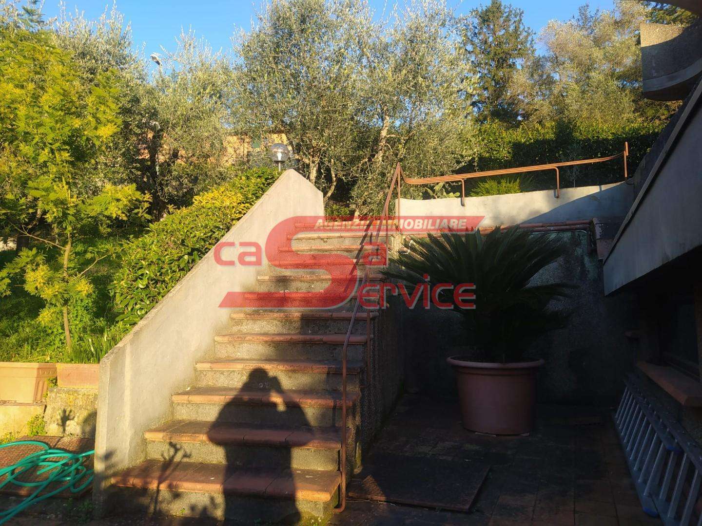  - foto 17