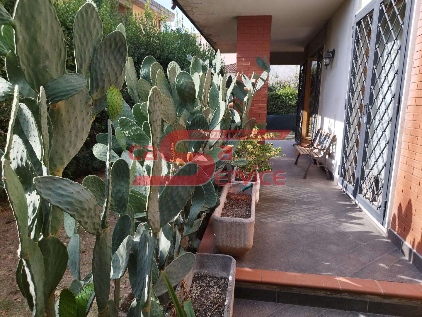  - foto 28