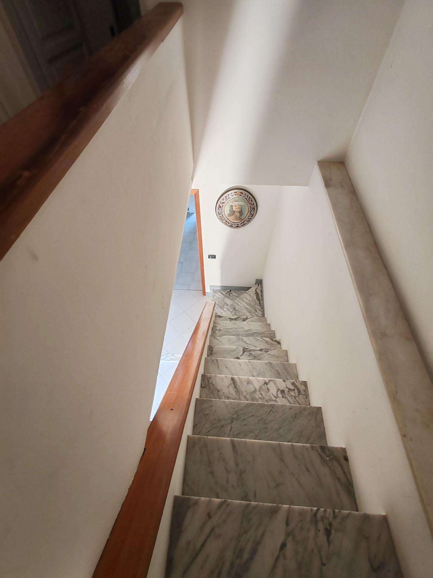  - foto 19