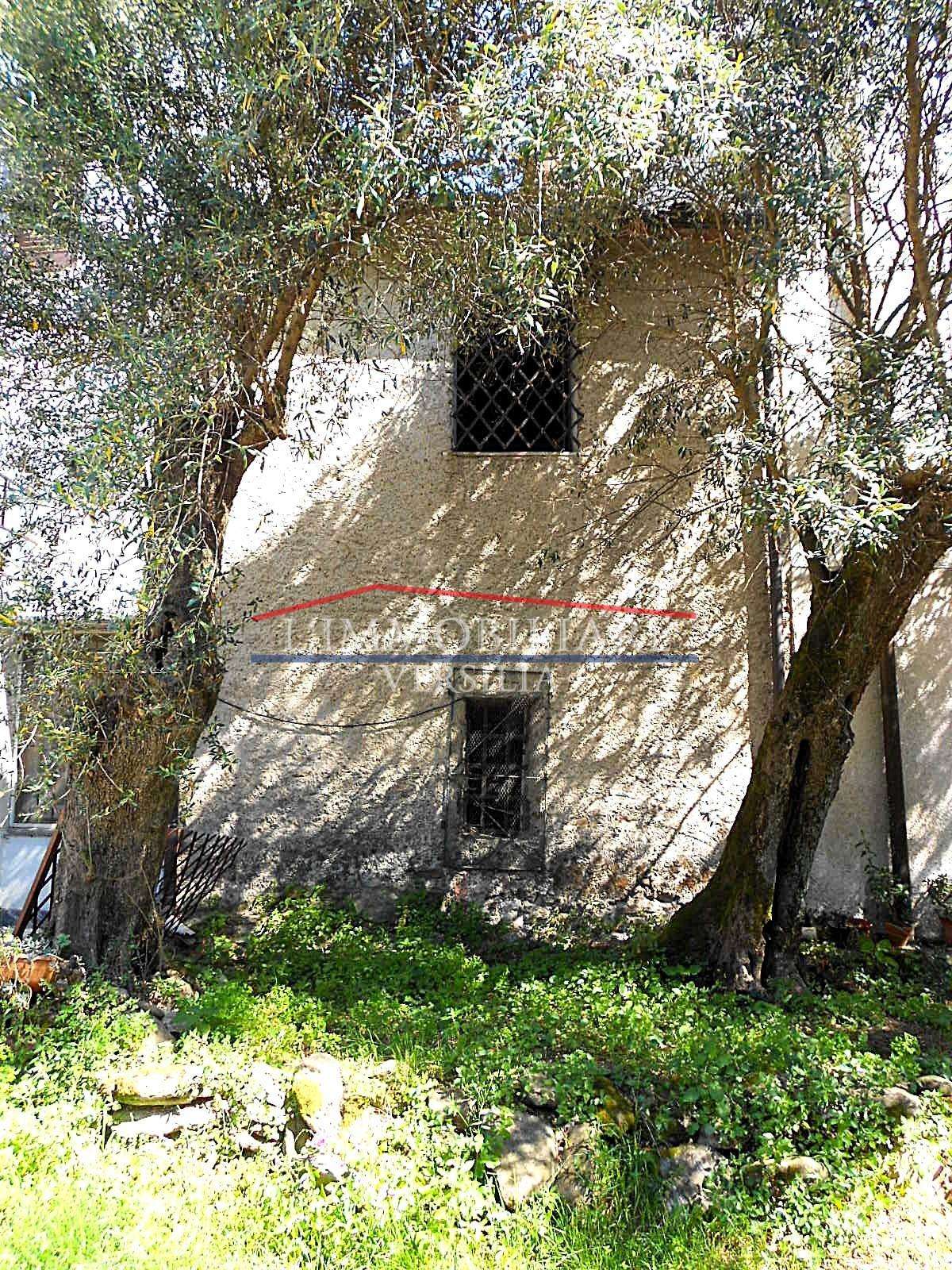 Palazzo - Stabile Via Roma,  192, Montignoso