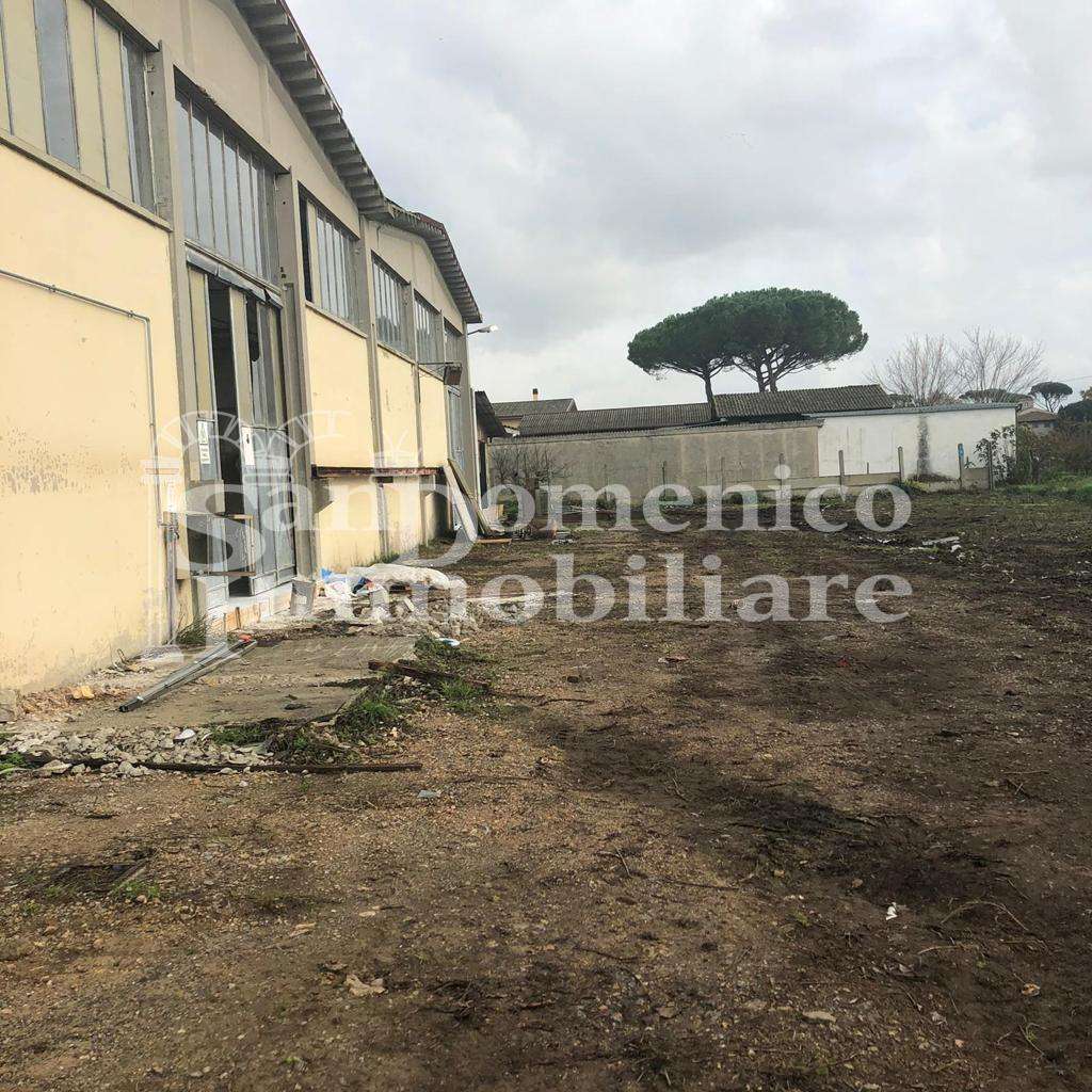 immagine annuncio 2 di 14