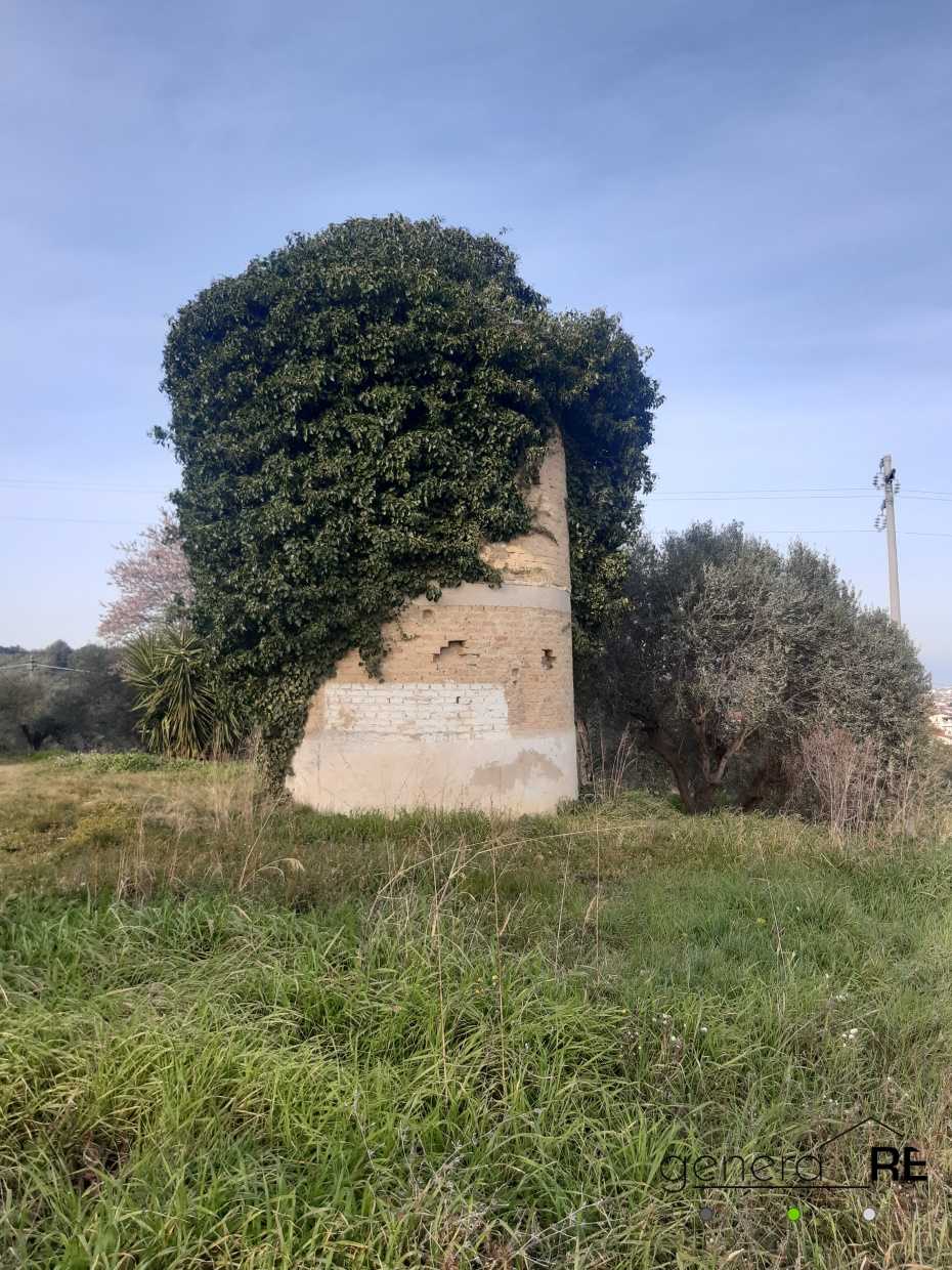  - foto 6