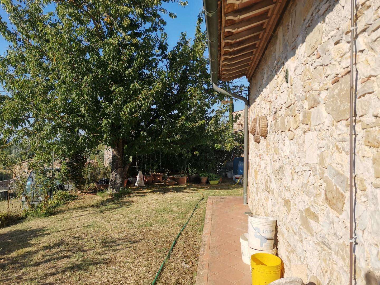  - foto 36