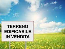 Terreno industriale di Gello, Ponsacco