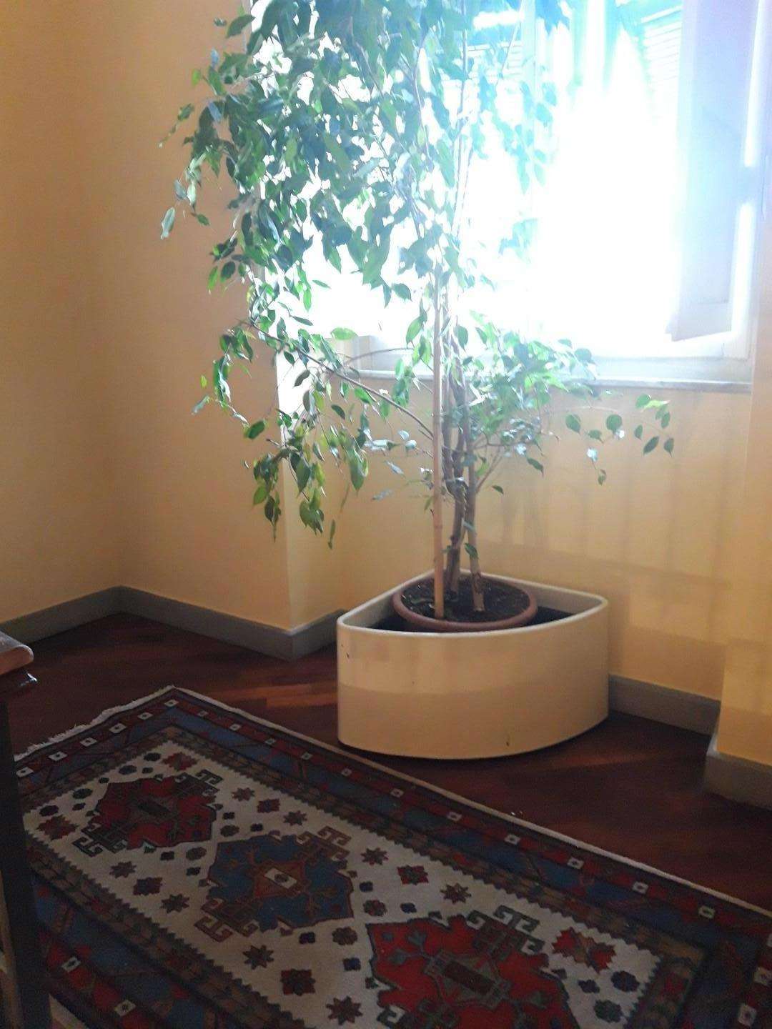  - foto 12