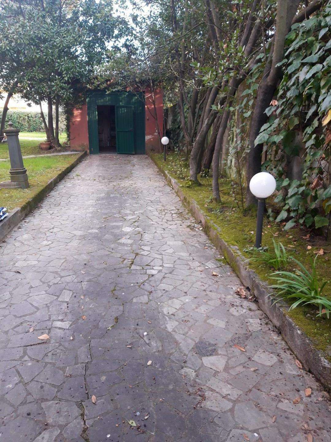  - foto 32