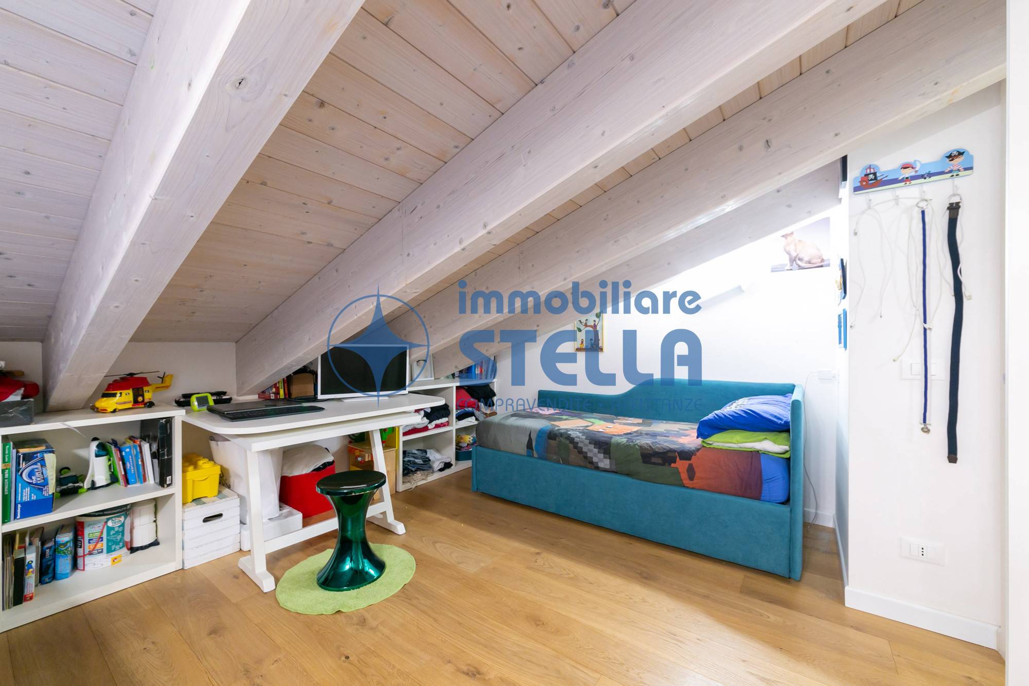 immagine annuncio 12 di 15