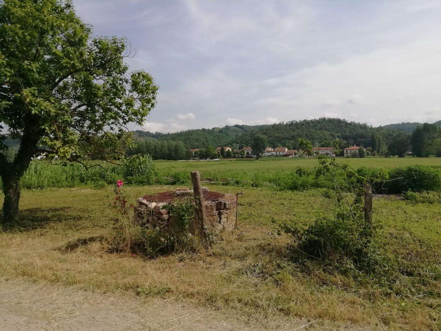 immagine annuncio 2 di 6