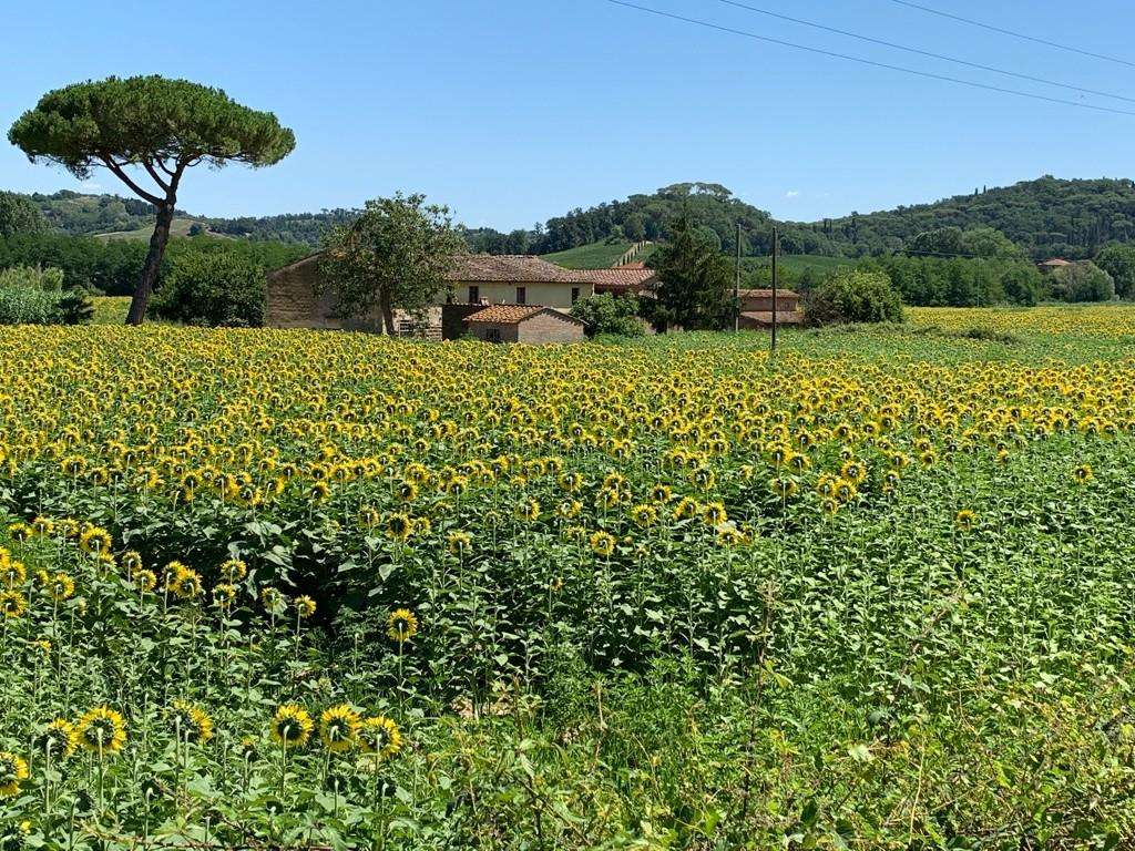 immagine annuncio 3 di 6