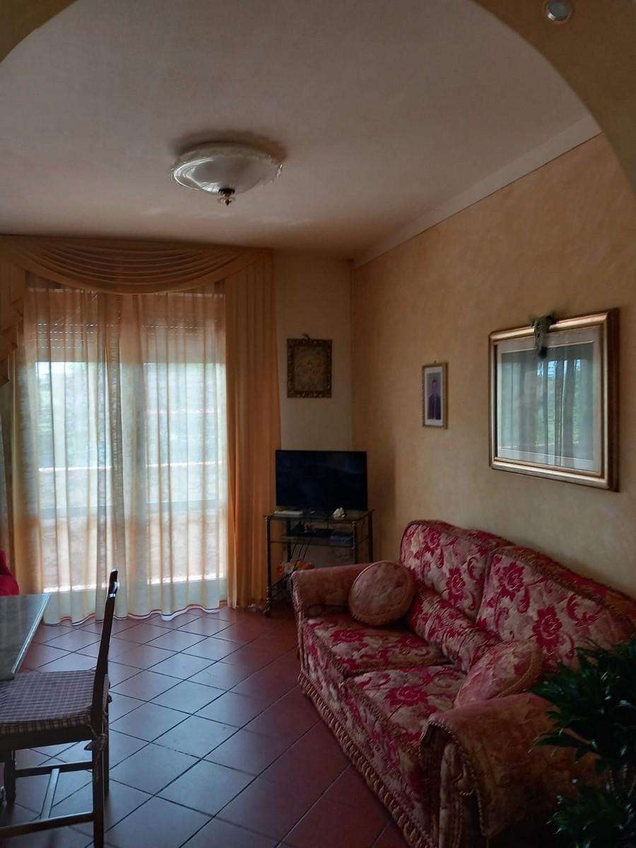  - foto 25