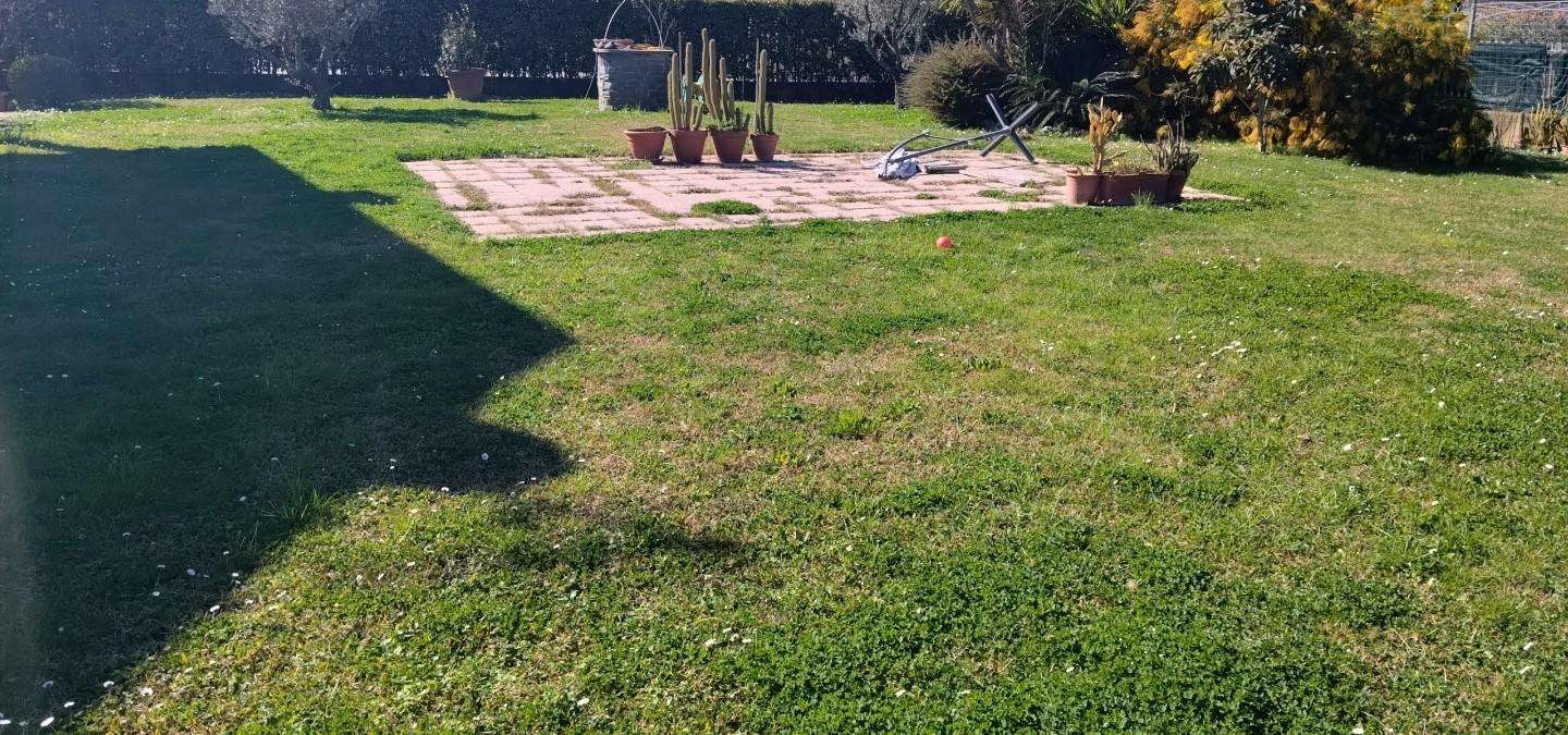  - foto 31