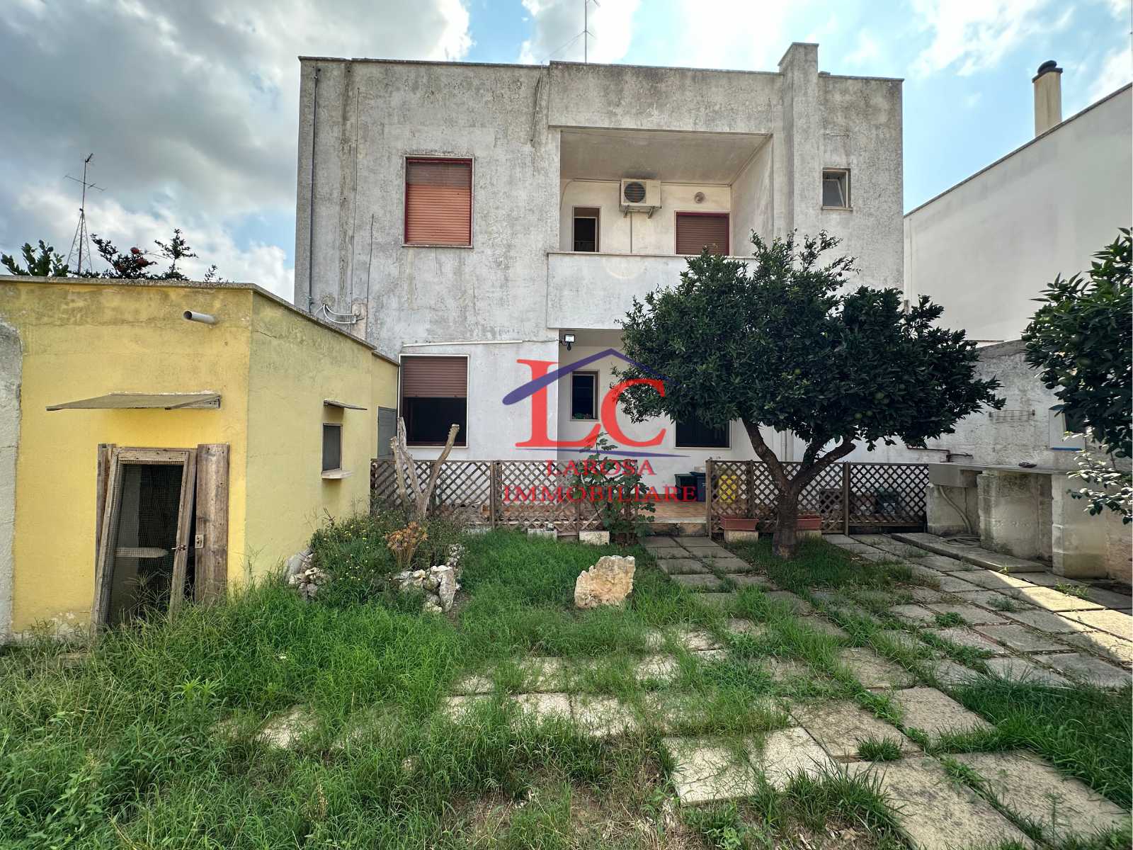 immagine annuncio 6 di 15