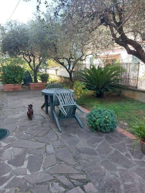  - foto 29