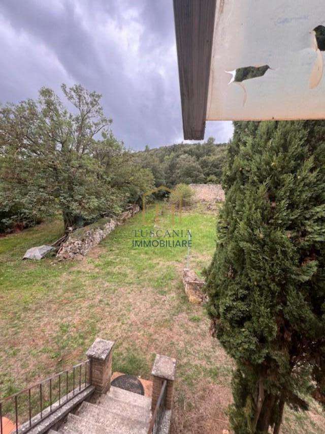  - foto 11