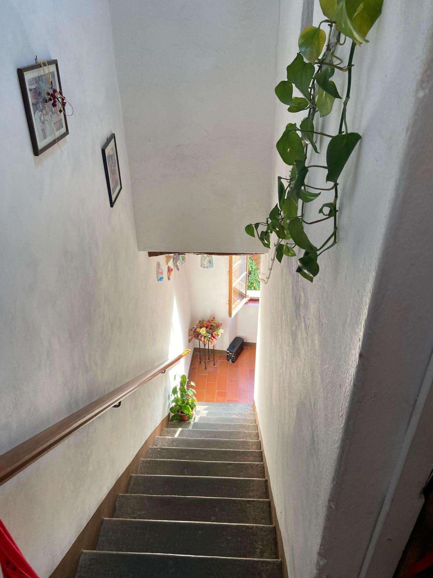  - foto 32
