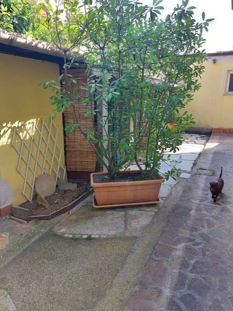  - foto 39