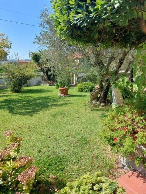  - foto 52
