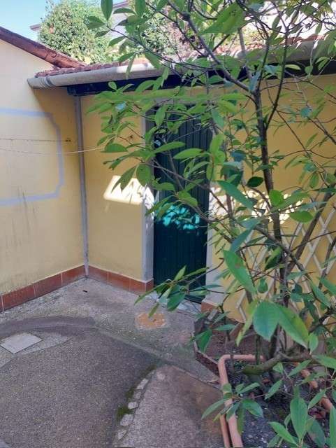  - foto 55