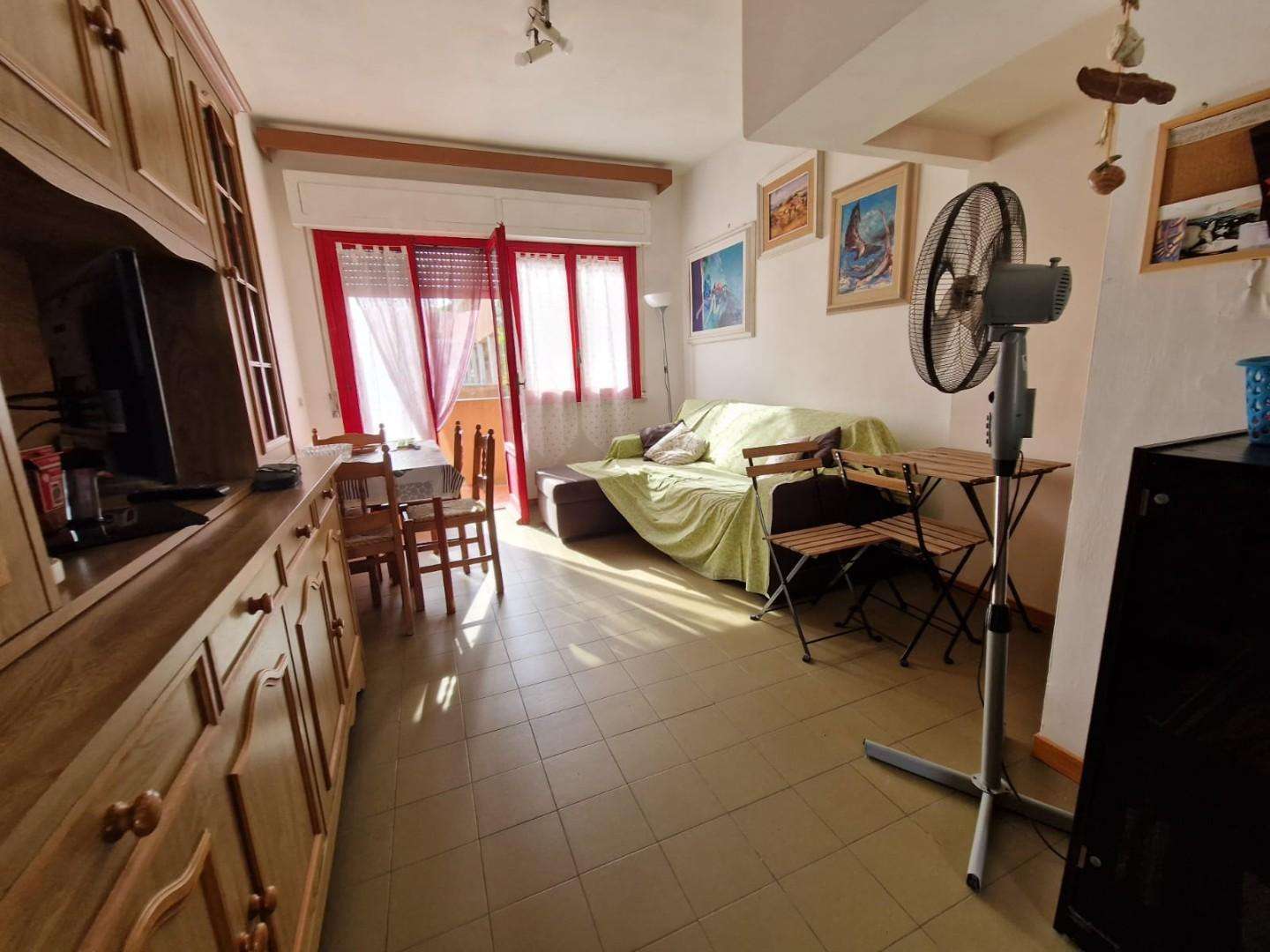 immagine annuncio 5 di 14