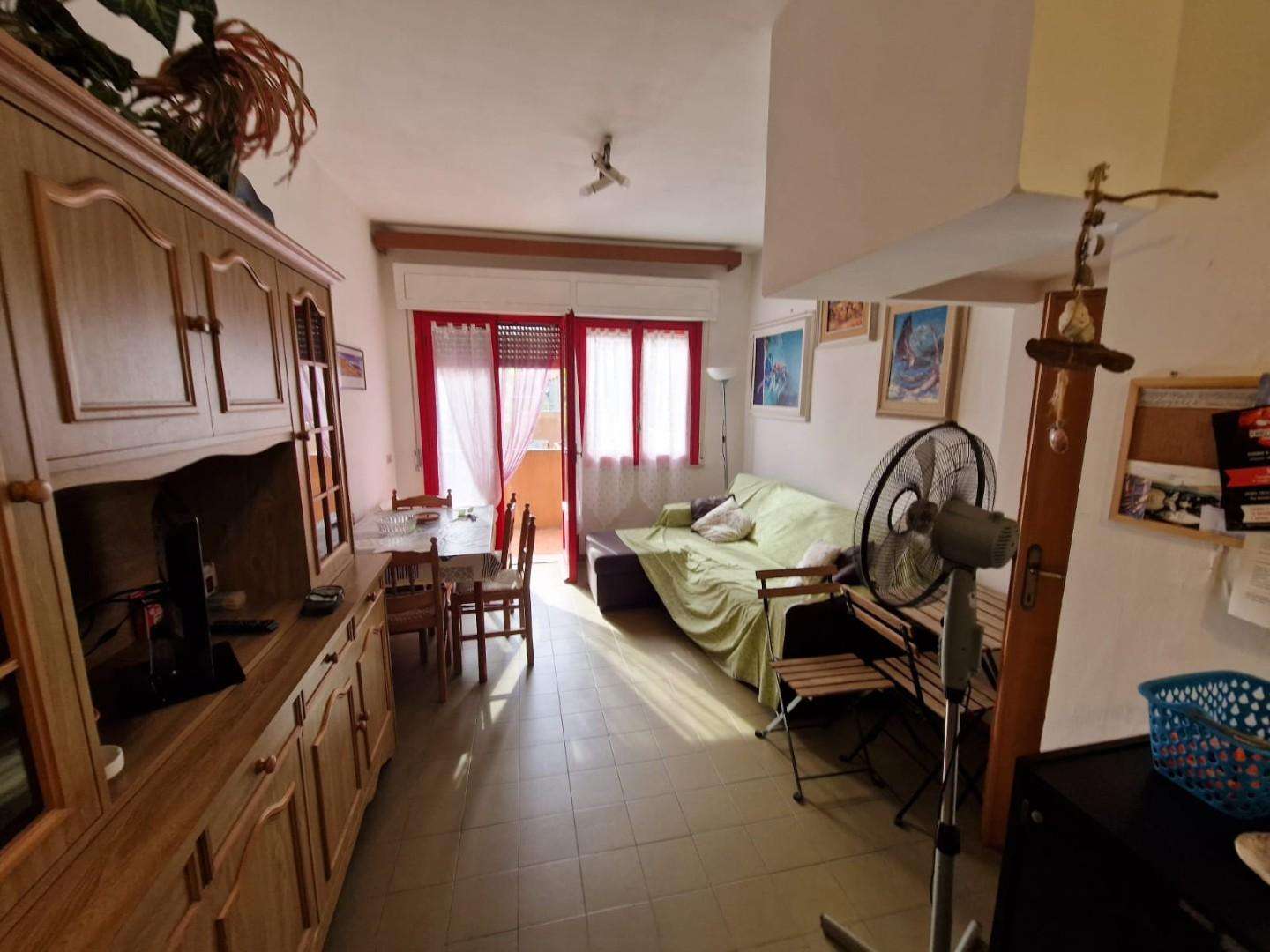 immagine annuncio 7 di 14