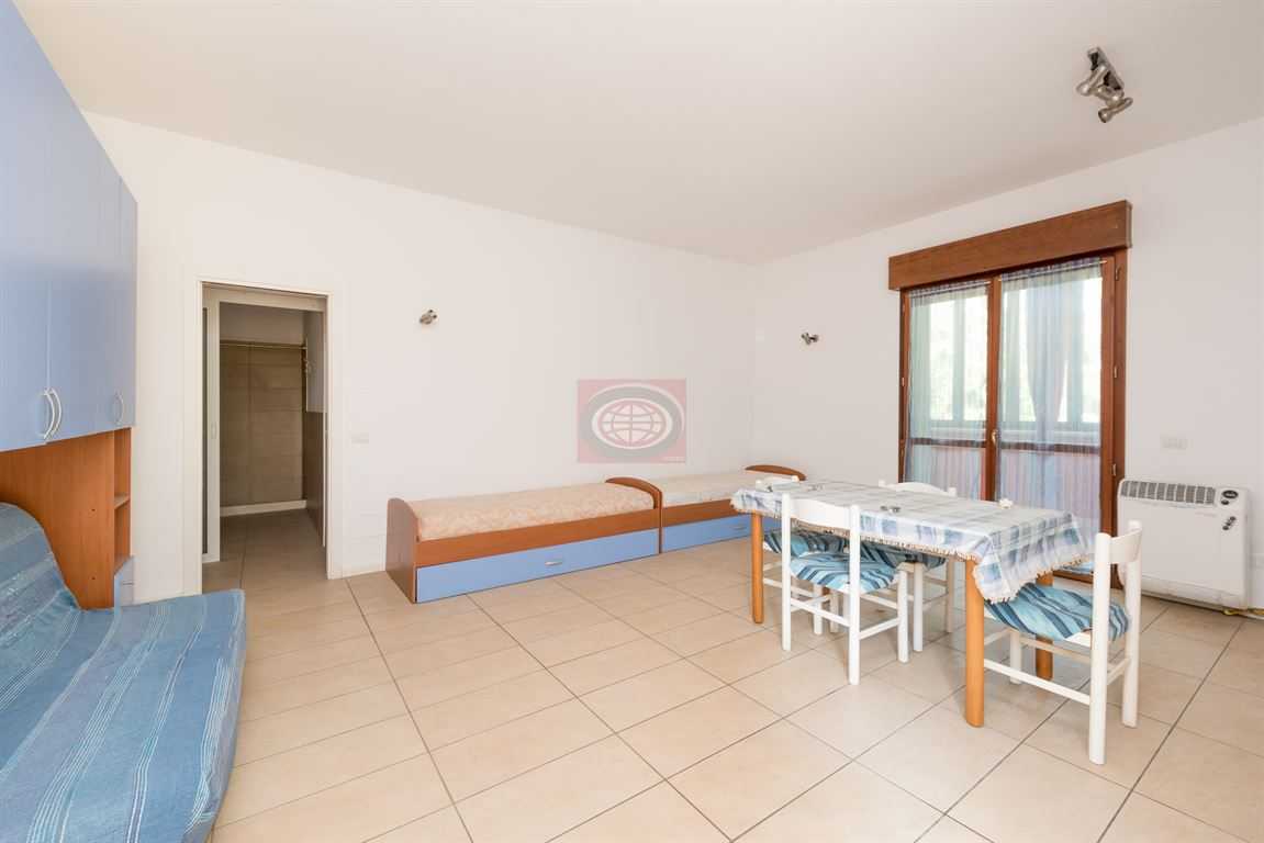 immagine annuncio 6 di 14