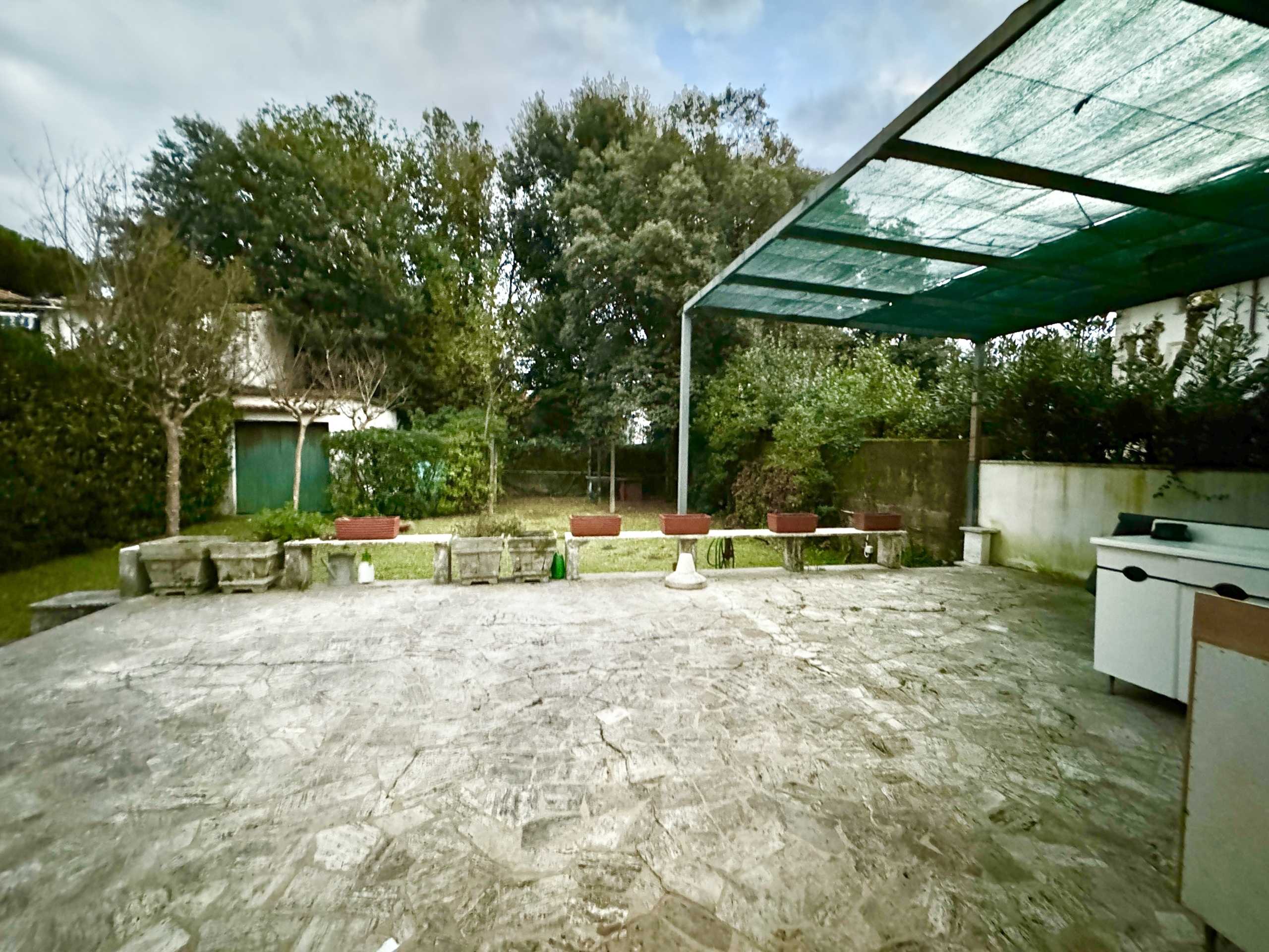  - foto 62