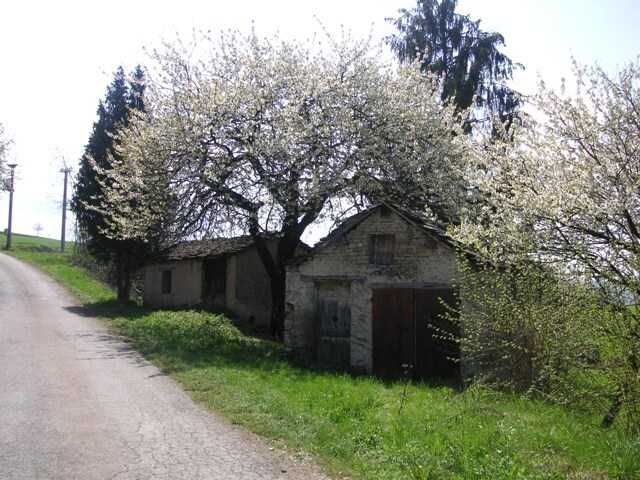  - foto 14