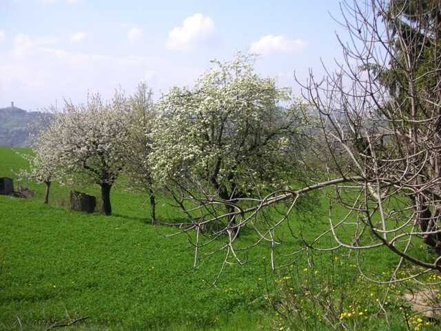  - foto 15