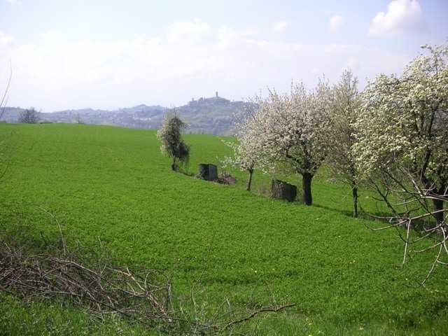  - foto 16