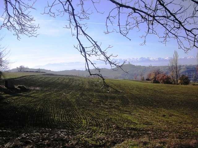  - foto 3