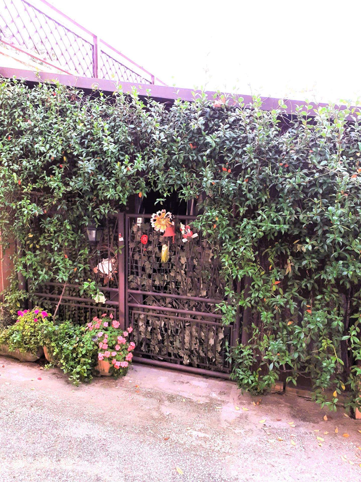  - foto 21