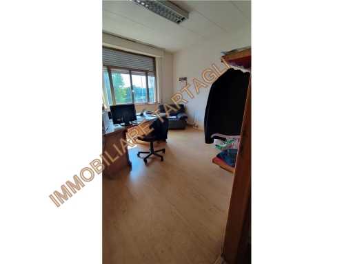  - foto 19