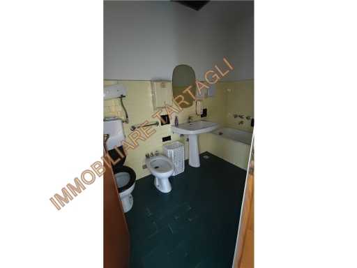  - foto 24
