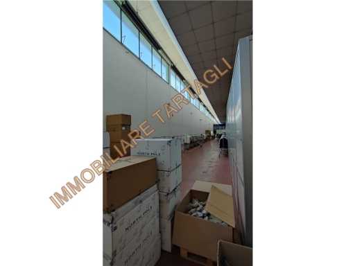  - foto 7