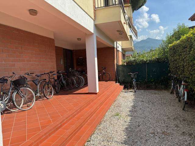 immagine annuncio 2 di 11