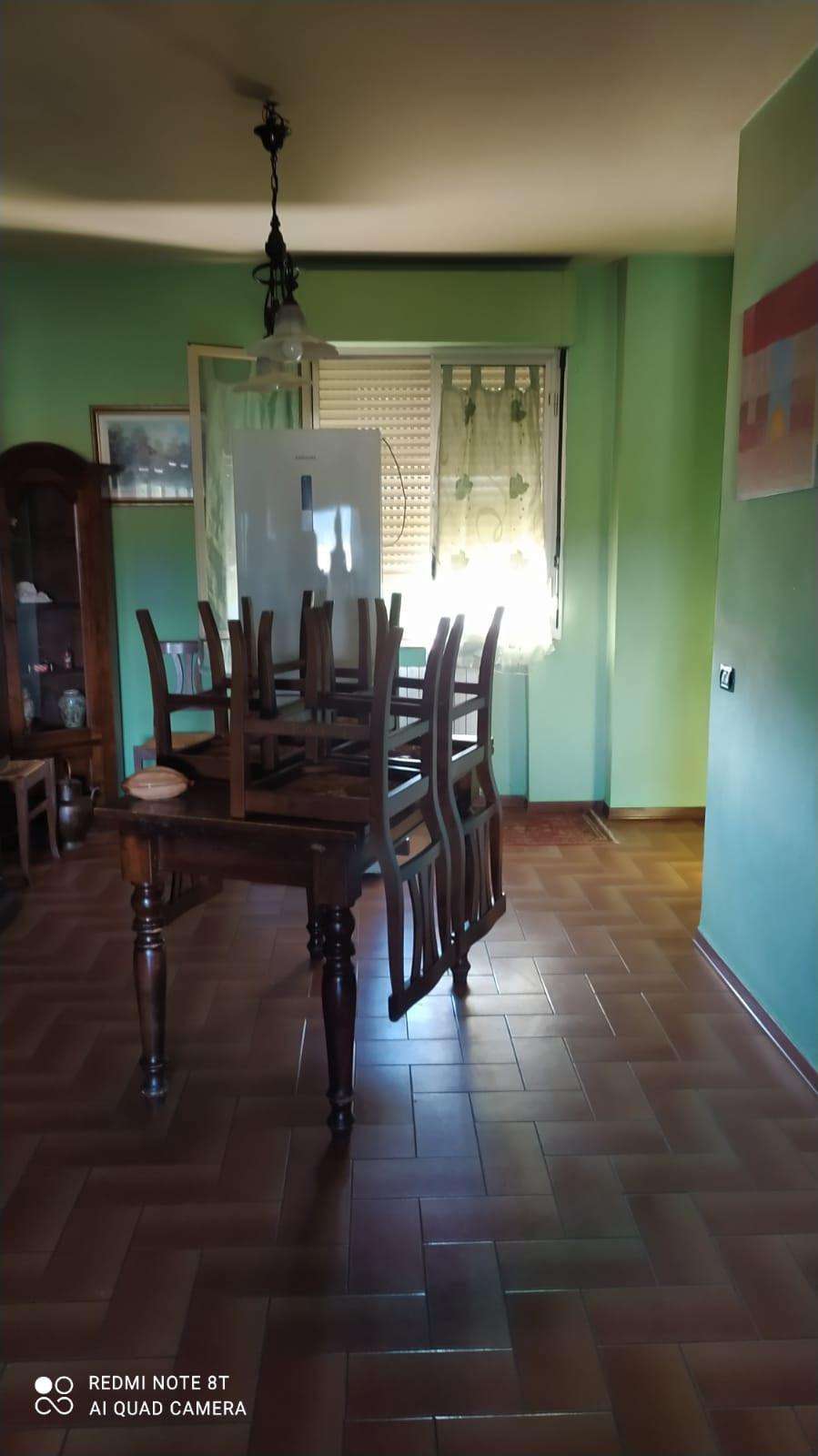 immagine annuncio 9 di 14