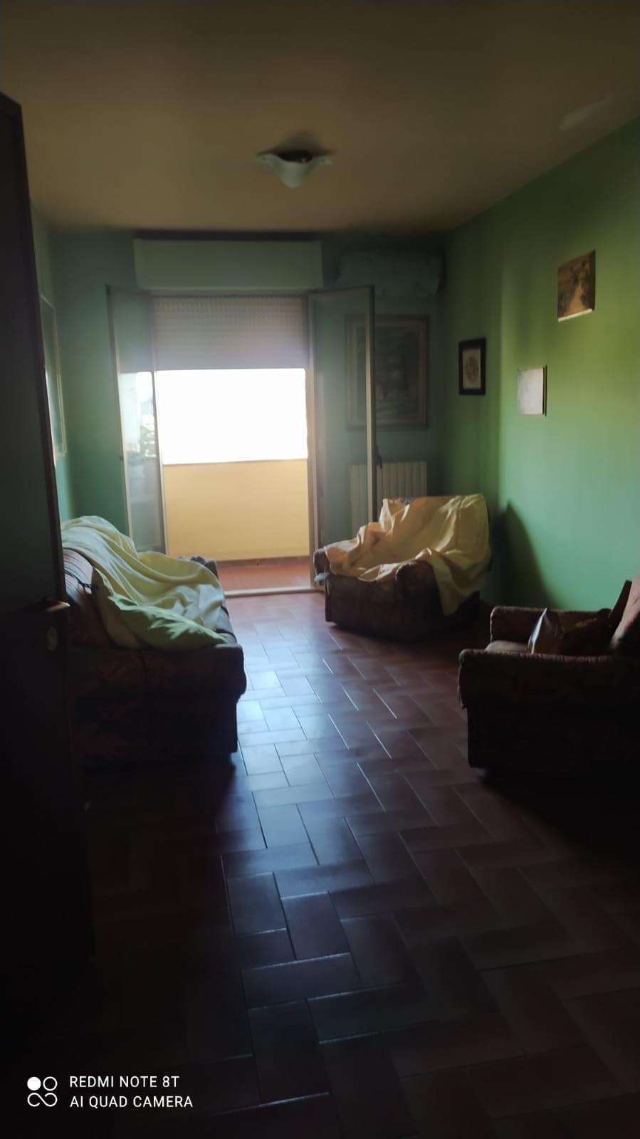 immagine annuncio 10 di 14