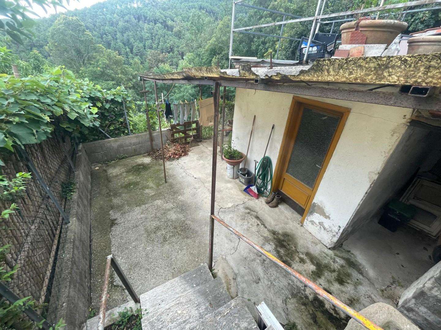 immagine annuncio 12 di 14
