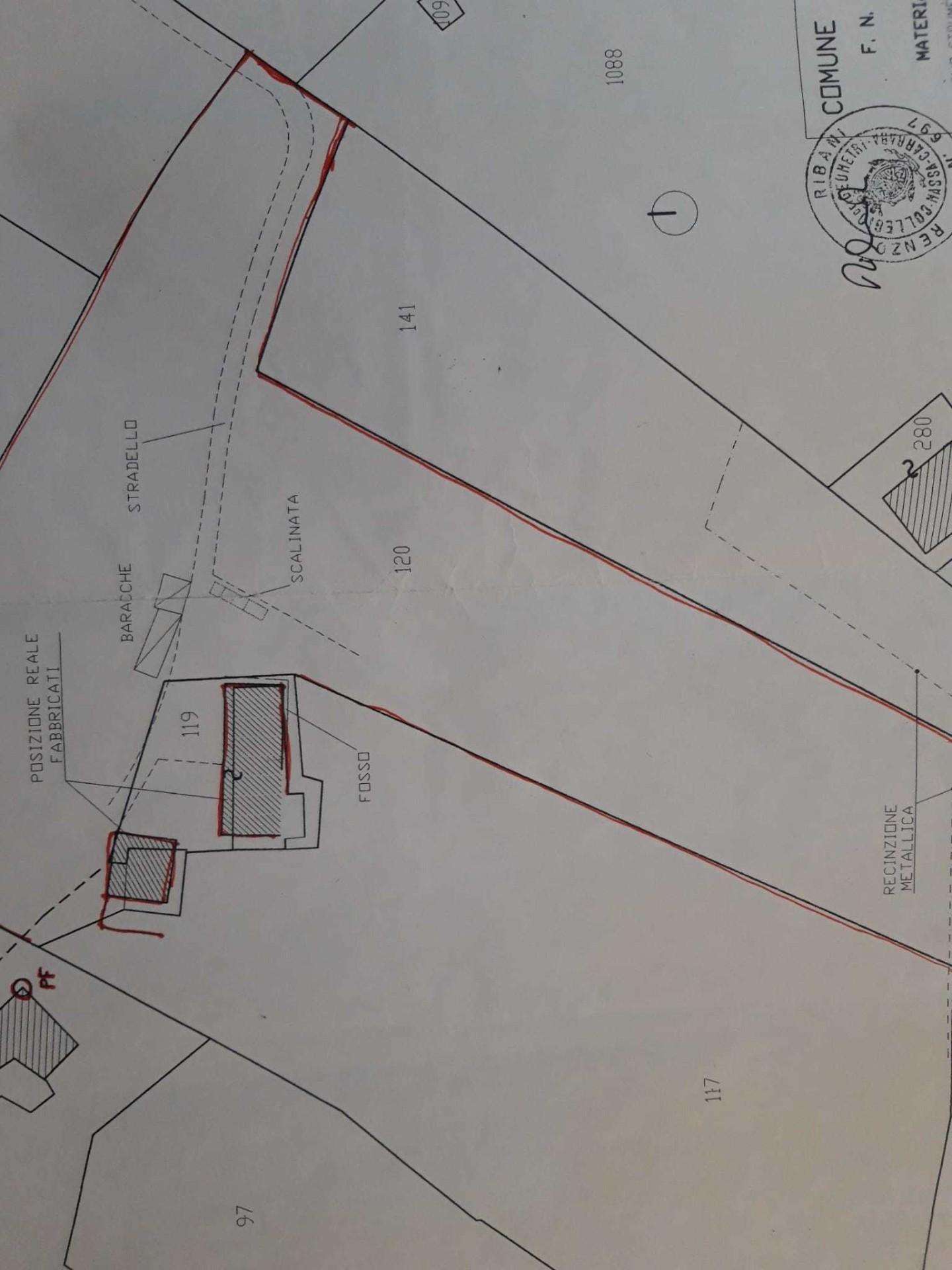  - foto 11