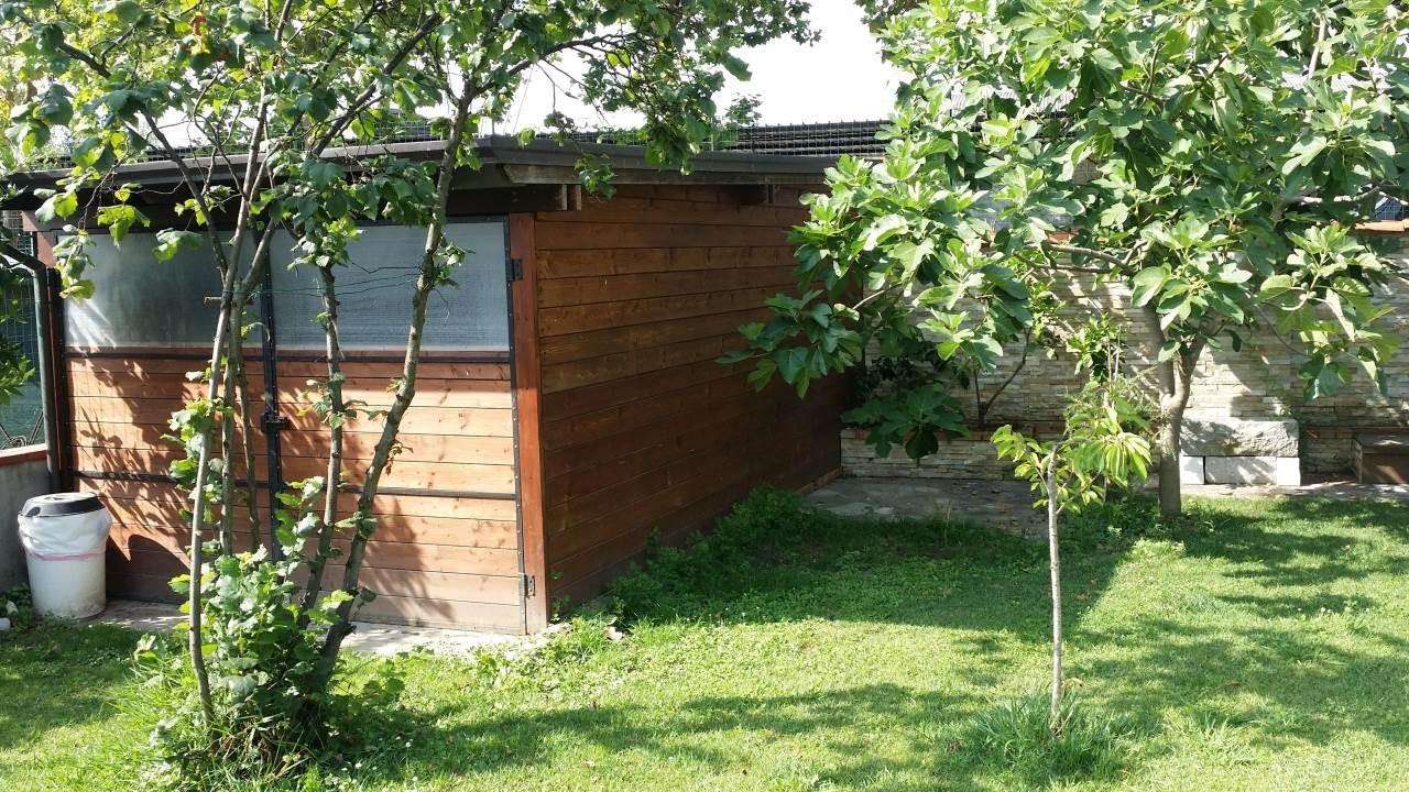  - foto 17