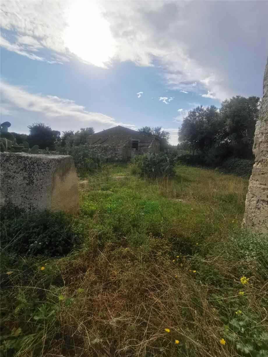  - foto 10