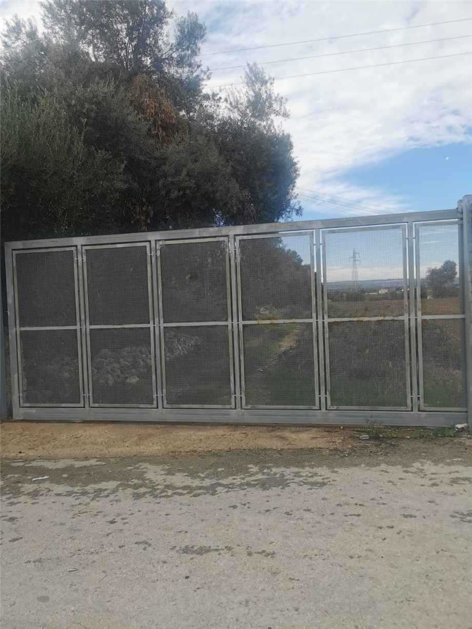  - foto 12