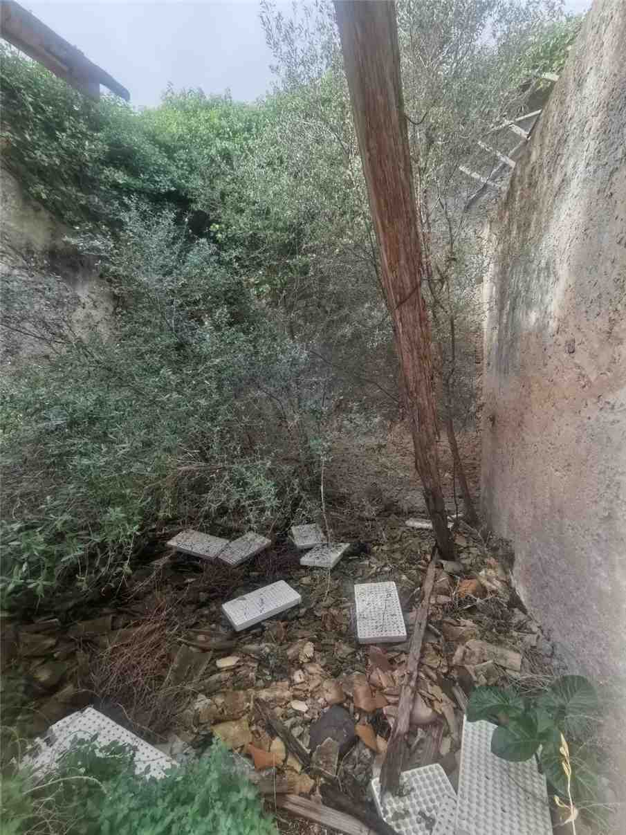  - foto 14