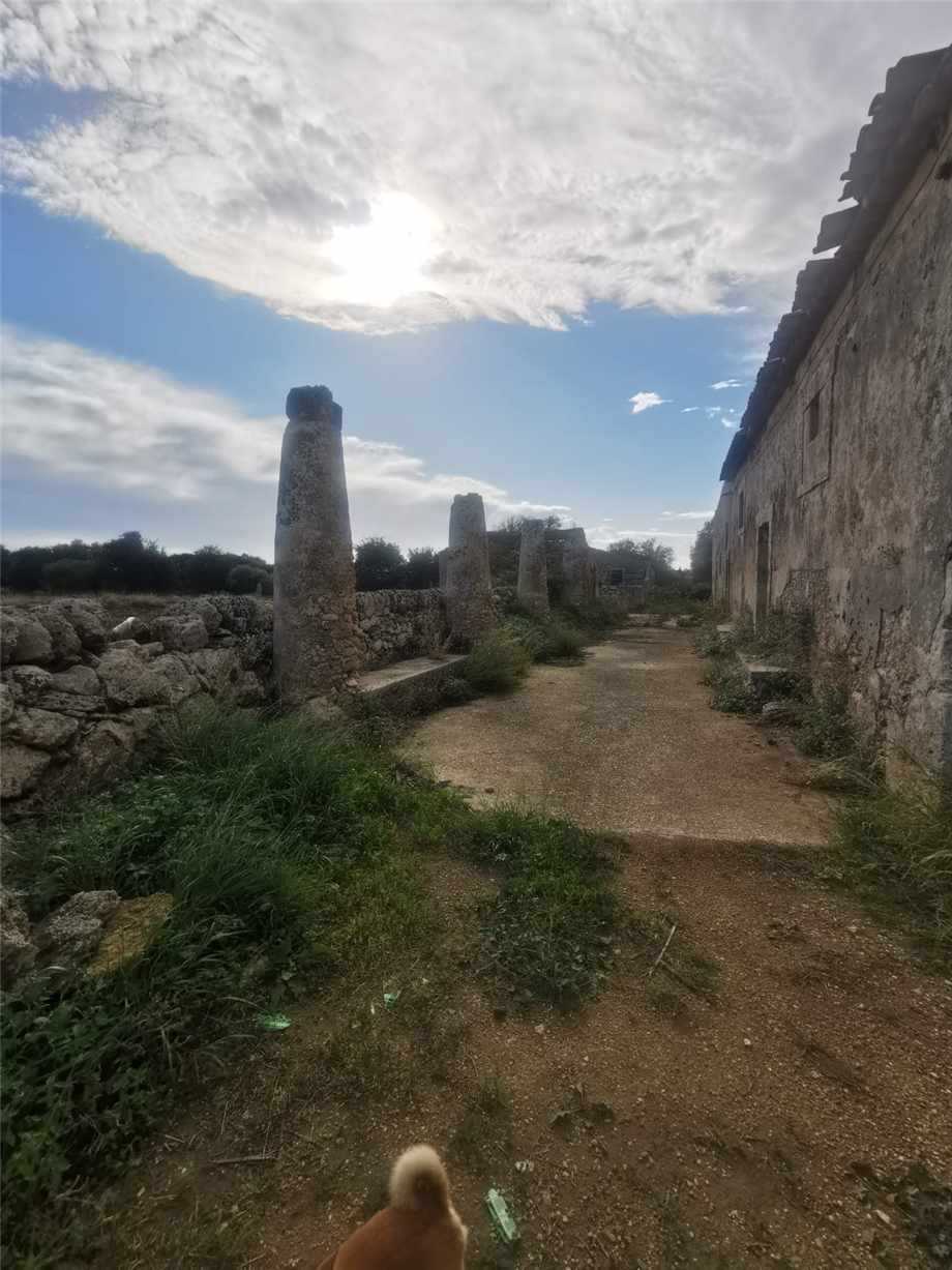  - foto 6