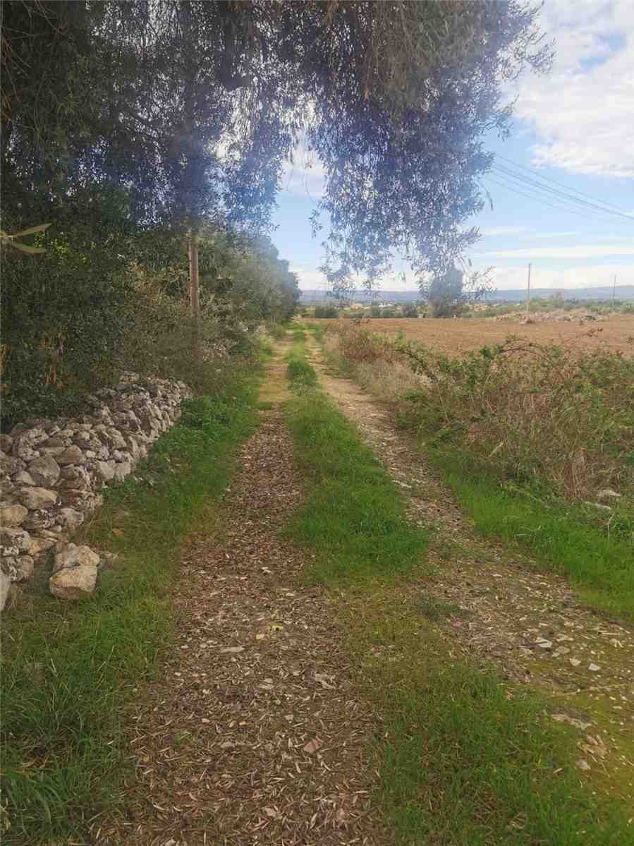  - foto 8
